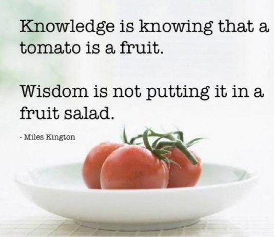 জ্ঞানী, বুদ্ধিমান এবং চালাক মানুষের পার্থক্য কি? Knowledge vs wisdom